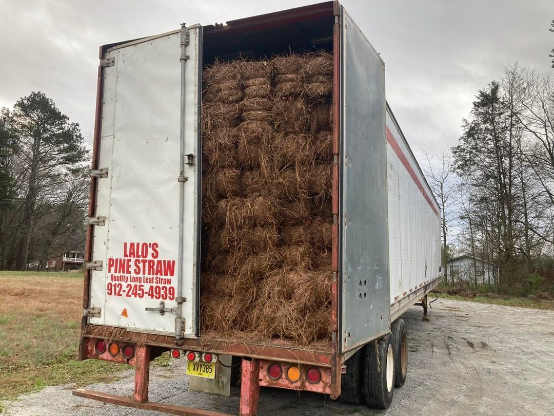 knights market bale hey