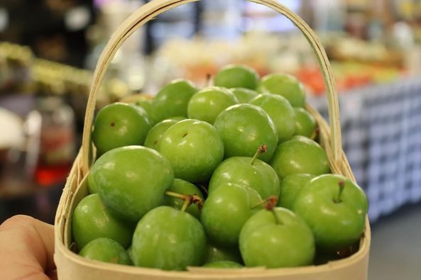 A person is holding a basket filled with green plums.
