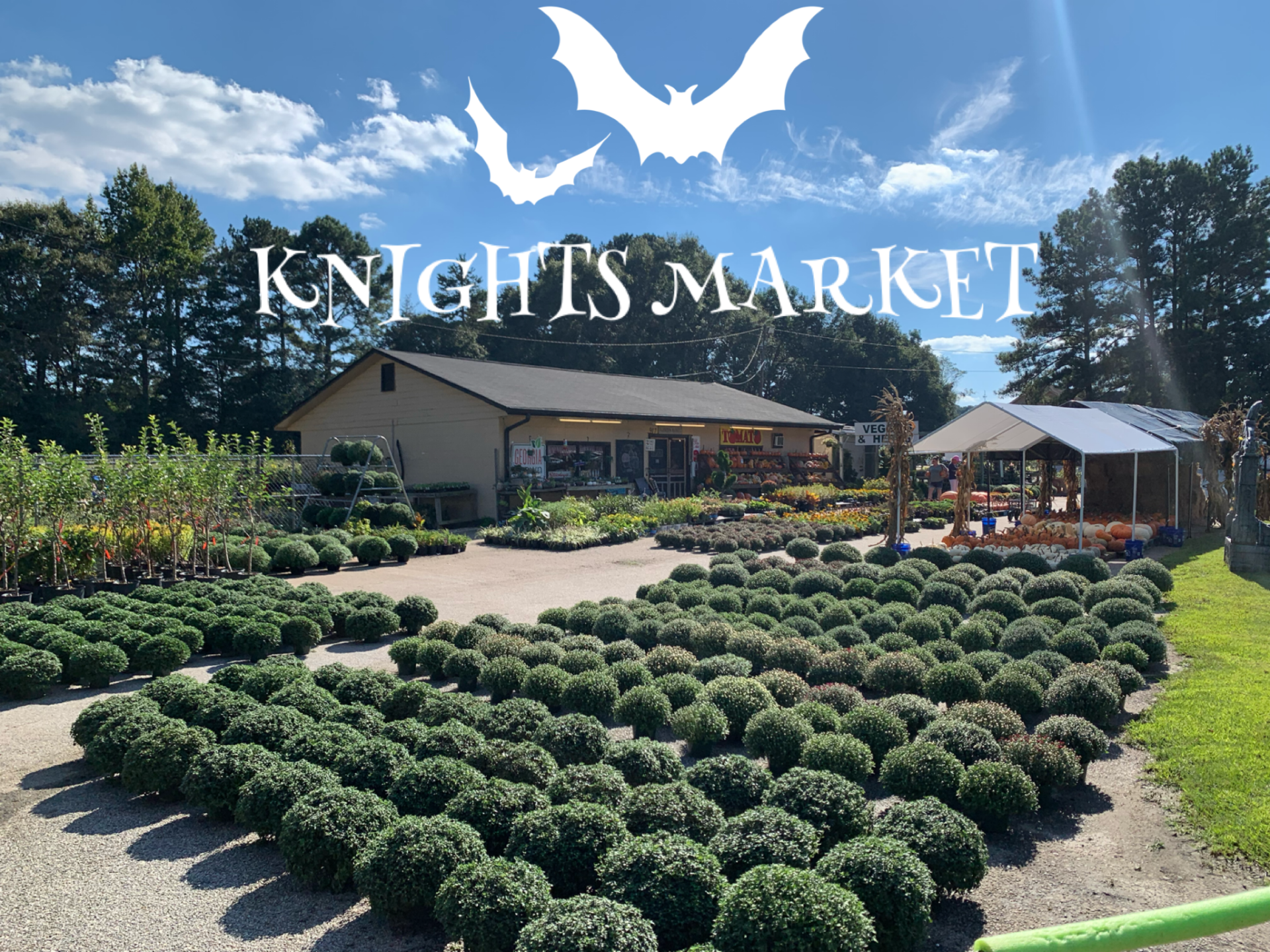 Knights Market Outside store