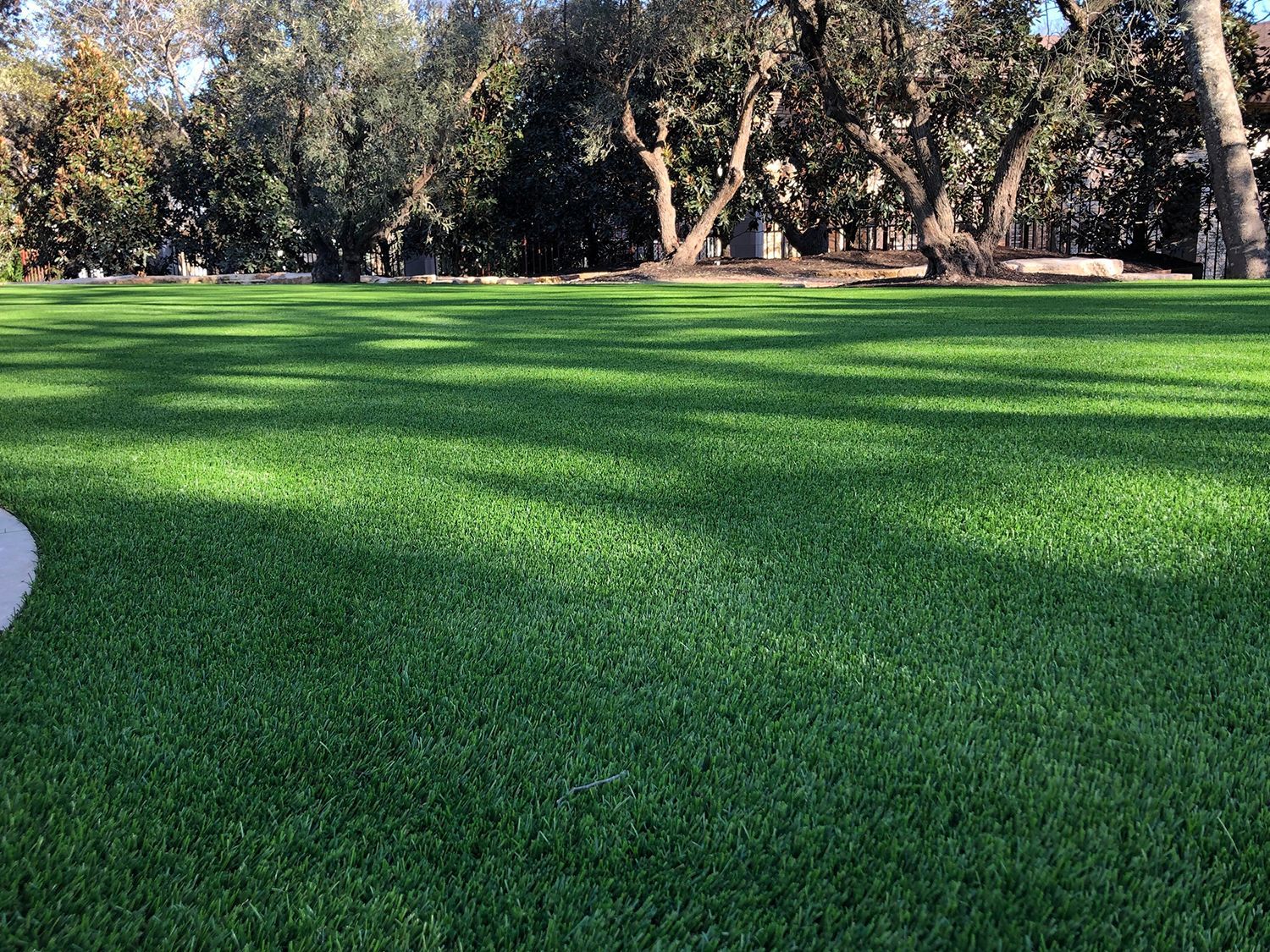 Green artificial turf lawn under trees on a sunny day.