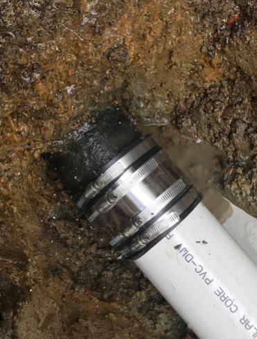 A white PVC pipe connected to a dark, older pipe underground using a shielded rubber plumbing coupling with metal bands.