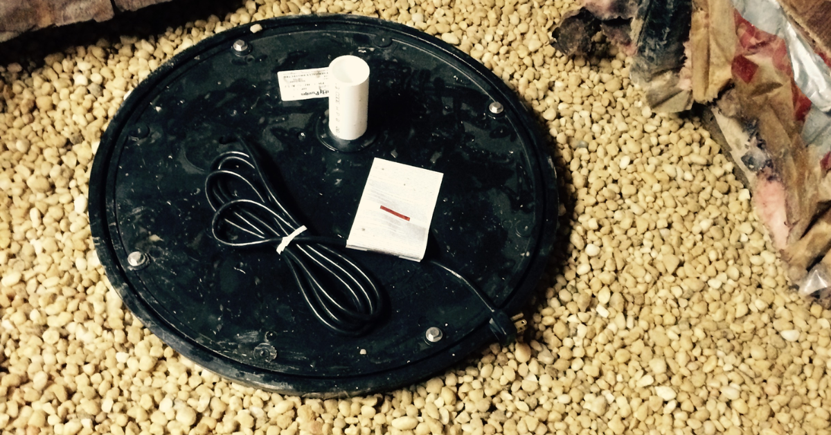 A display of shiny chrome bathroom faucets arranged in rows at a retail store.