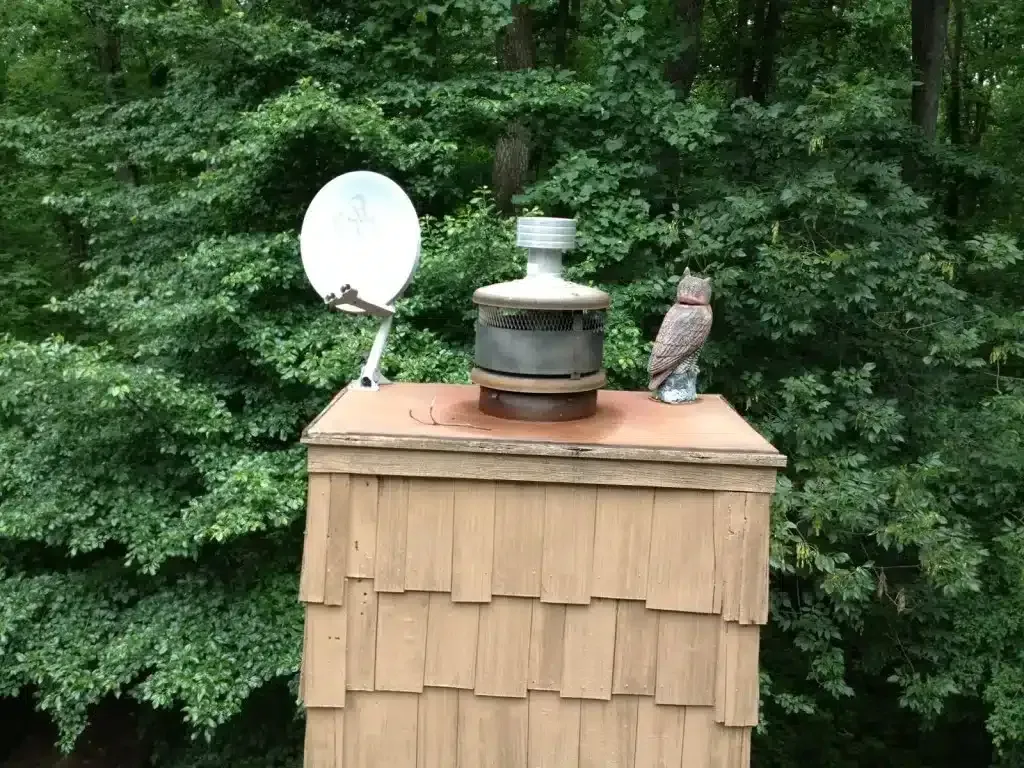 White satellite dish and owl figurine on tan shed roof against dense green trees