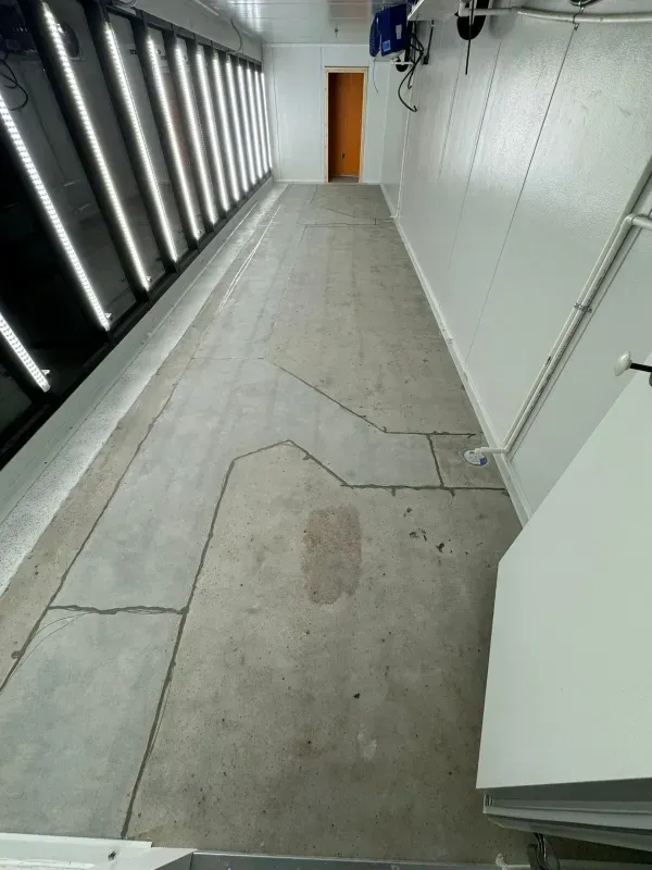 Empty indoor corridor with cracked concrete floor, white walls, and bright lights along the left side