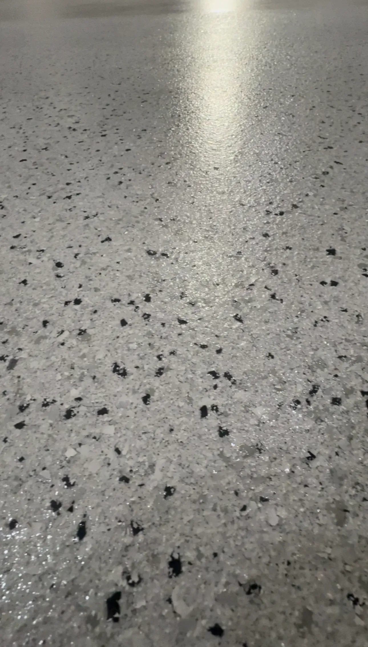 Polished concrete floor with flecks, reflecting light.