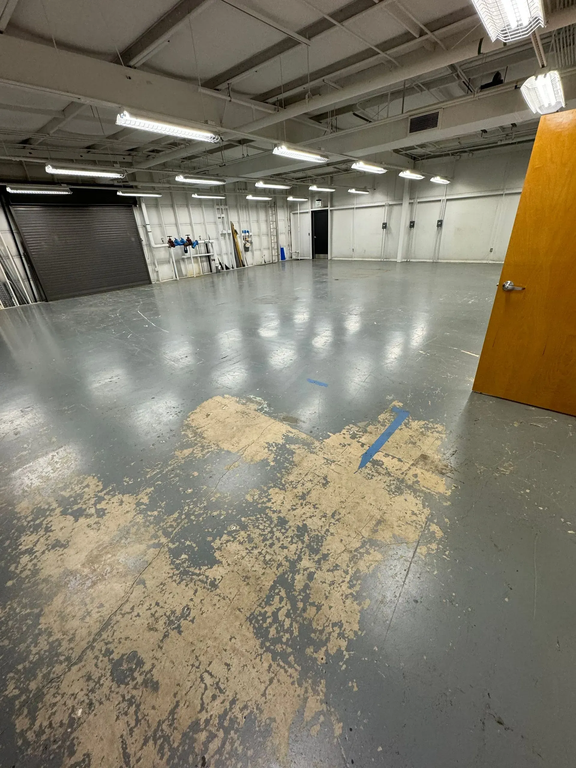Empty warehouse interior with peeling grey floor, white walls, and a closed wooden door.