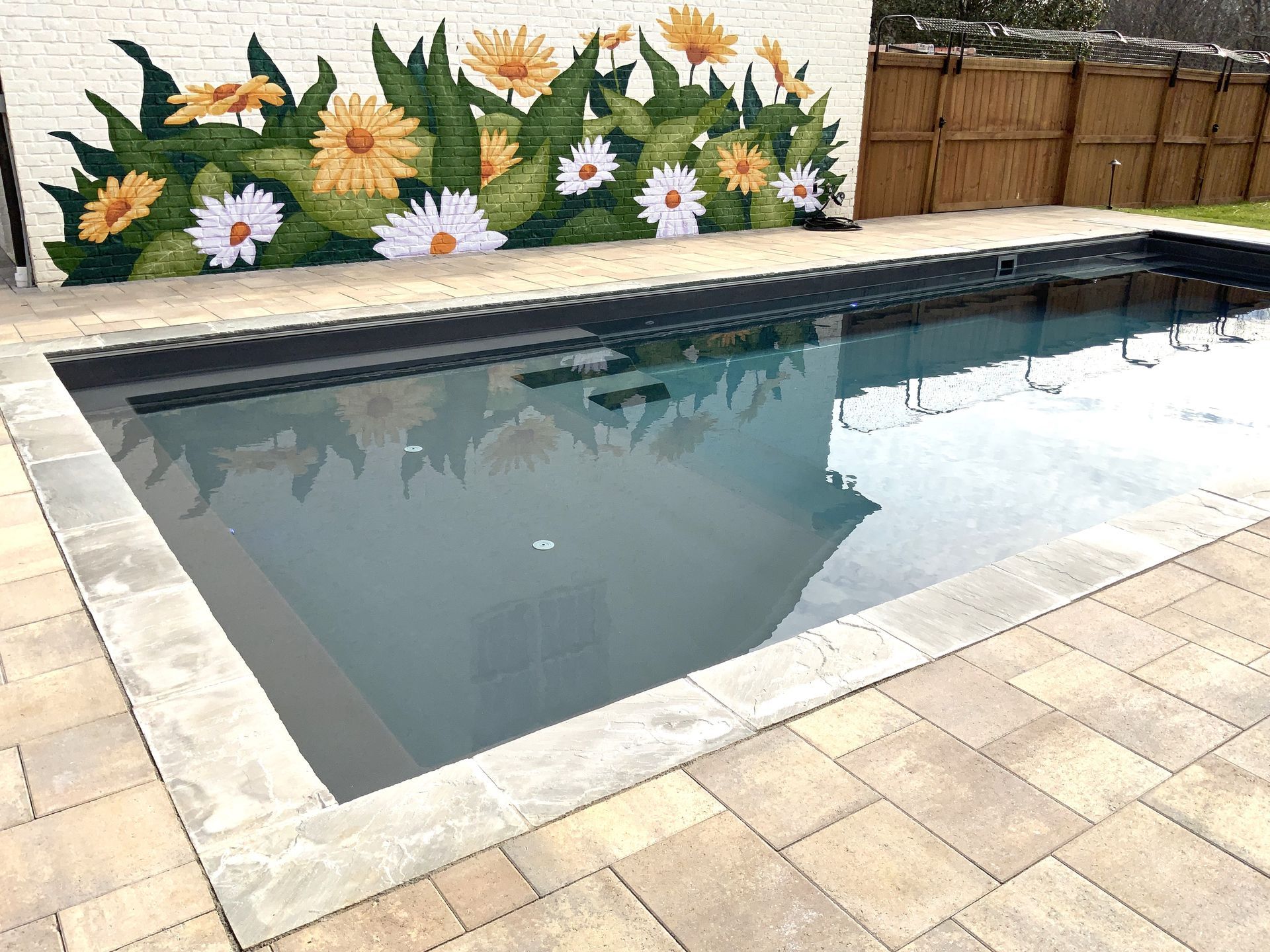 Empty backyard pool with clear water, beige paver deck, and floral mural backdrop.