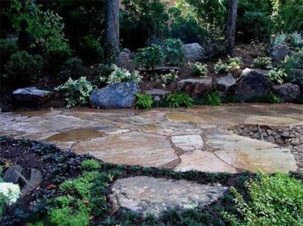 Stone pathway in a garden with rocks and green plants.
