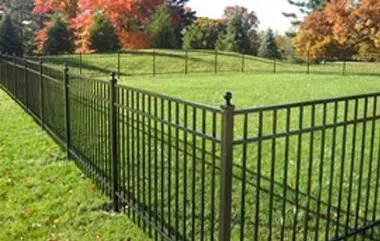 Black metal fence enclosing a green lawn; autumn trees in the background.