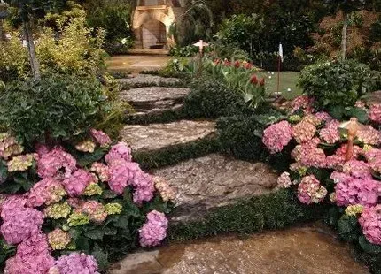 Stone path through a garden with pink hydrangeas and greenery, leading to a structure.