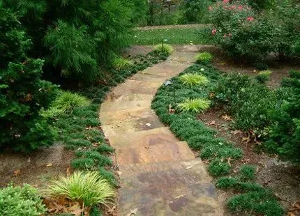 Stone path curves through a garden with green plants and trees.