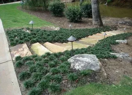 Stone steps and pathway through greenery, lit by garden lights.