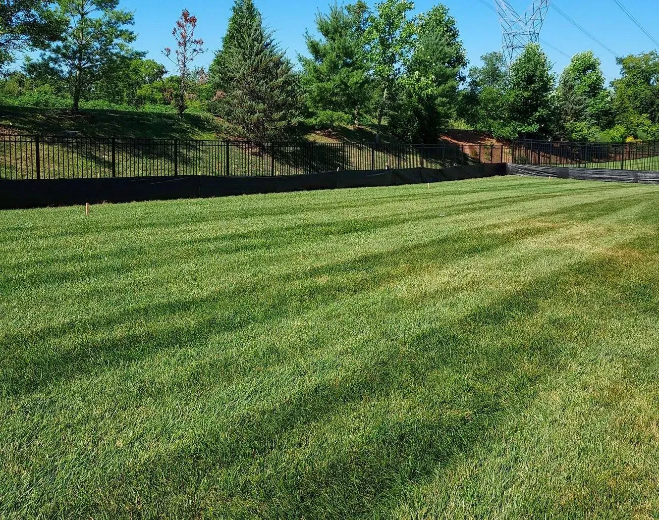 Green lawn with striped mowing pattern, a fence, and trees under a blue sky.