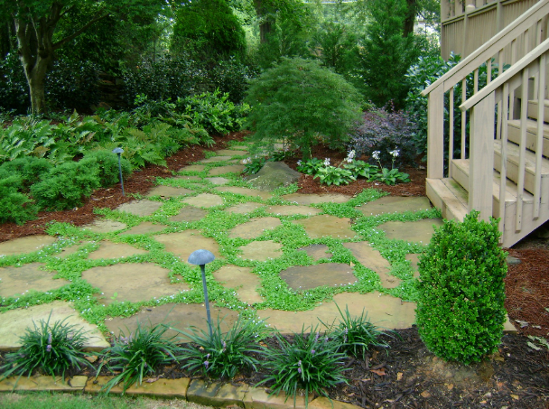Stone garden path with irregular pavers, surrounded by lush green plants and a wooden staircase.
