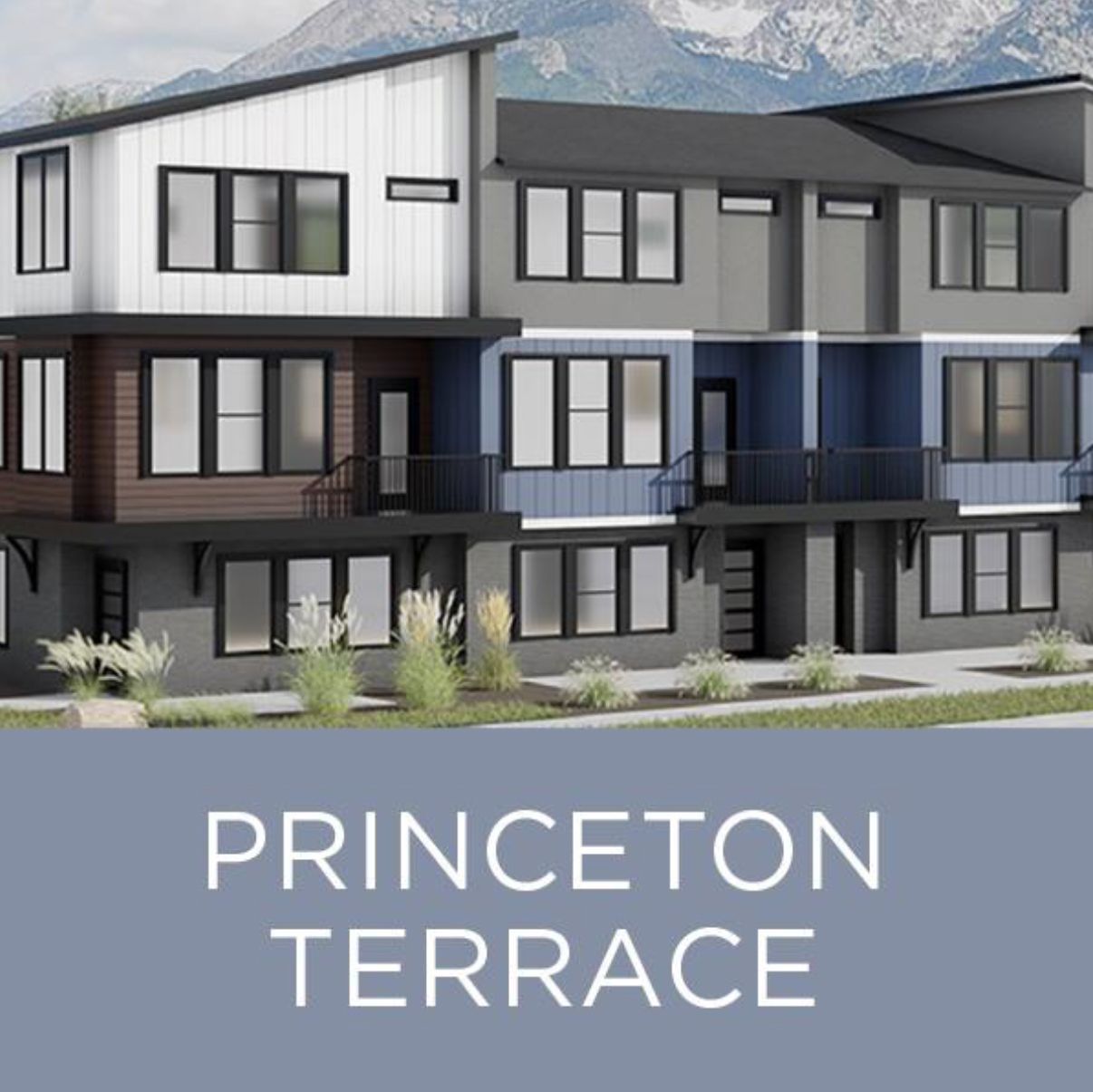 A rendering of a princeton terrace with mountains in the background