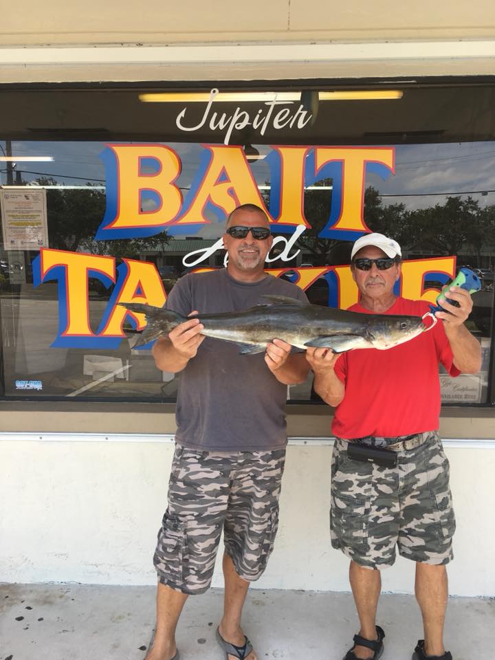 Two men holding a big fish