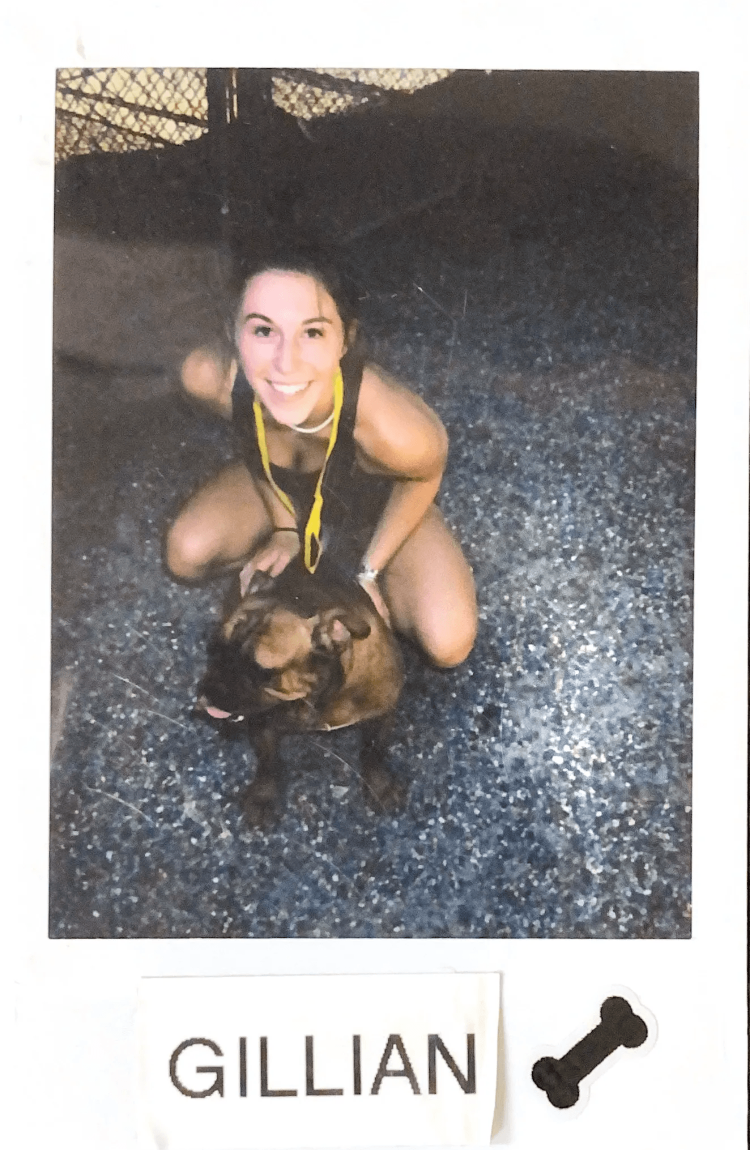 Meet the Staff at Baywood Kennels LLC for Pet Care Services in