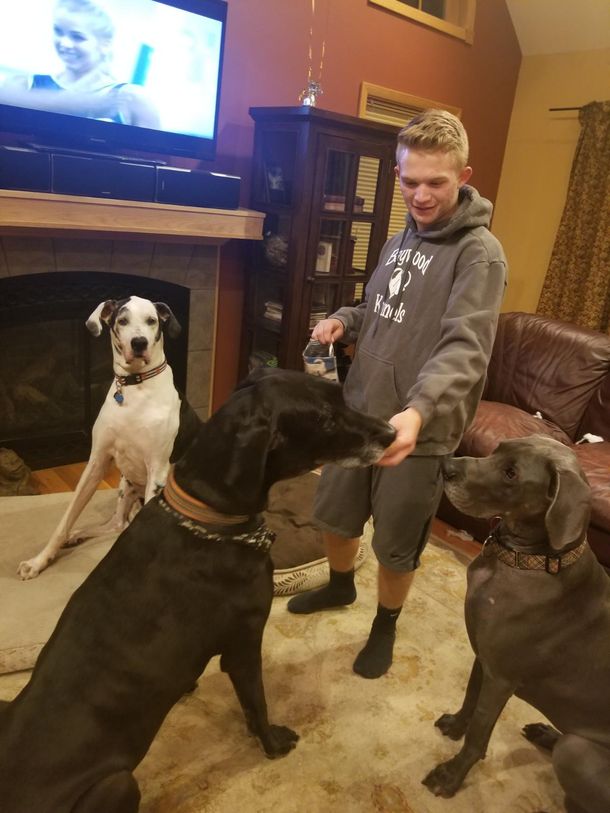 Meet the Staff at Baywood Kennels LLC for Pet Care Services in