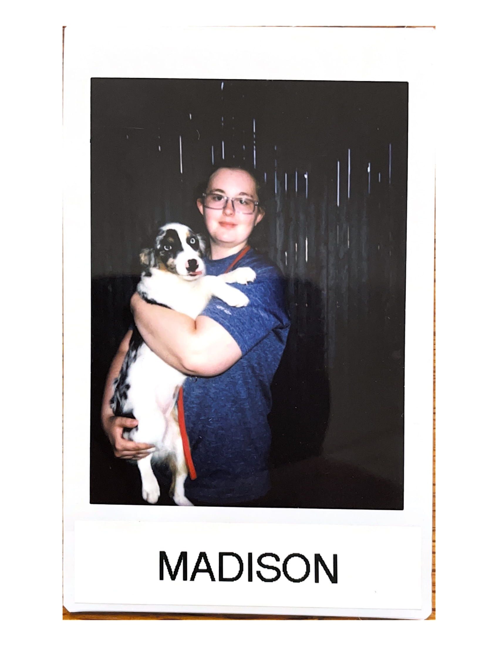 Meet the Staff at Baywood Kennels LLC for Pet Care Services in