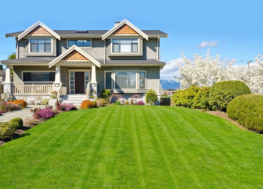 A two-story grey suburban house with a large, neatly mowed green lawn and blooming trees under a clear blue sky.