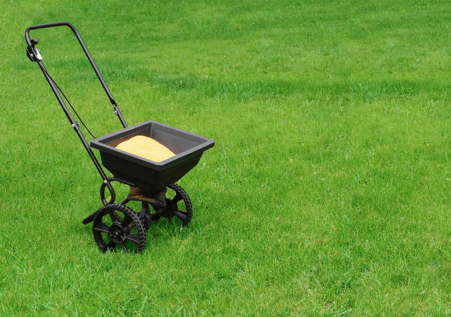 A black drop spreader filled with fertilizer sitting on a green grass lawn.
