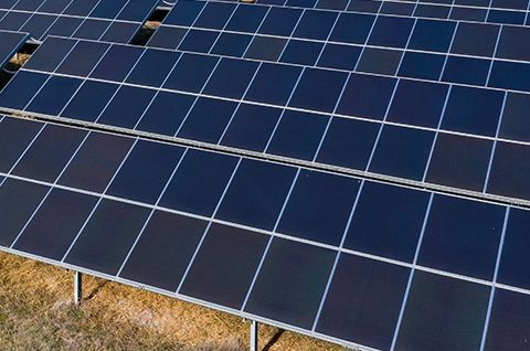 Rows of solar panels angled toward the sky, set in a field.
