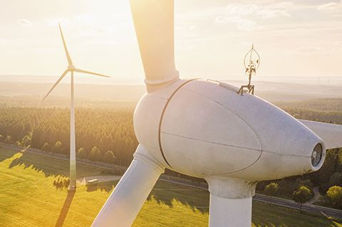 Wind turbines in a green field with a forest in the background, bathed in sunlight.