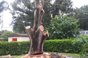 Cpl tree service and landscaping