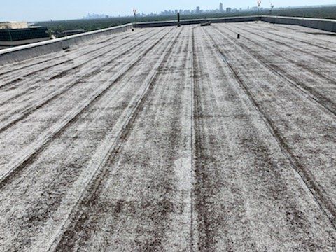 roof cleaning before