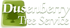 Dusenberry Tree Service