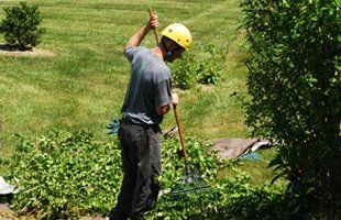 Man cleaning lawn