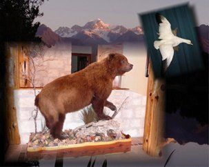 North American Animals | Austin, TX | Rheinlander World Class Taxidermy | 512-447-3337
