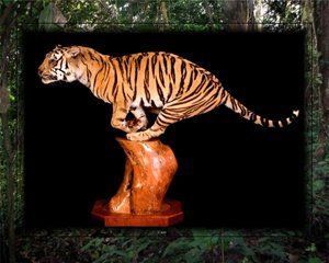 African Animals | Austin, TX | Rheinlander World Class Taxidermy | 512-447-3337