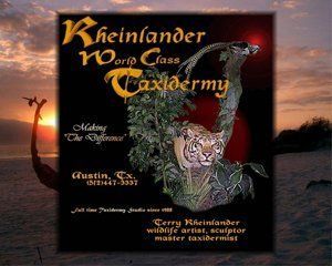 African Animals | Austin, TX | Rheinlander World Class Taxidermy | 512-447-3337
