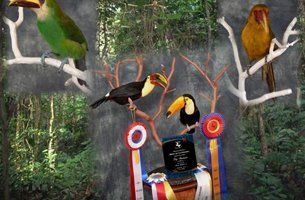 Birds & Fish | Austin, TX | Rheinlander World Class Taxidermy | 512-447-3337