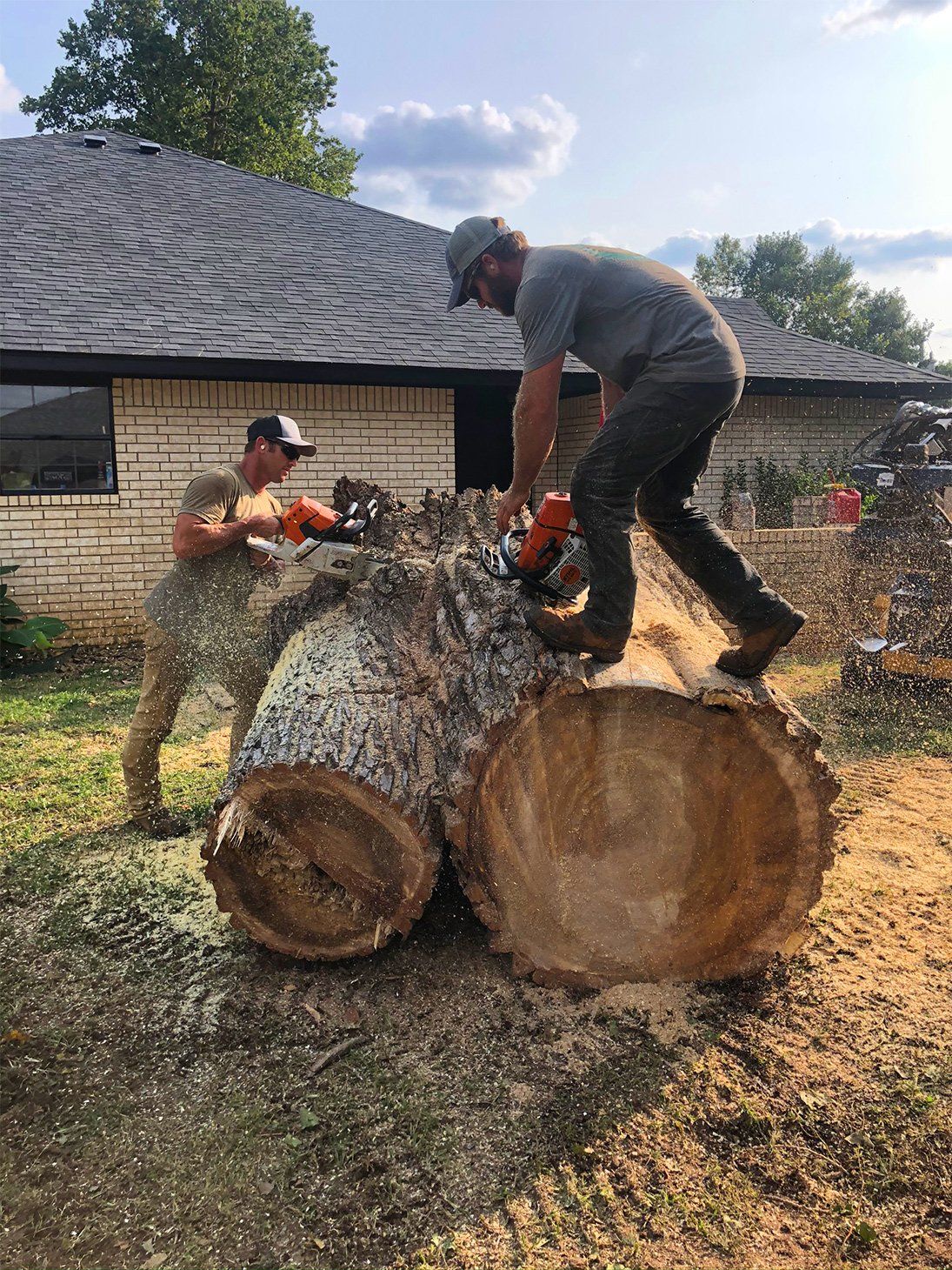 Phillips Tree Care | Tree Services | Chickasha, OK