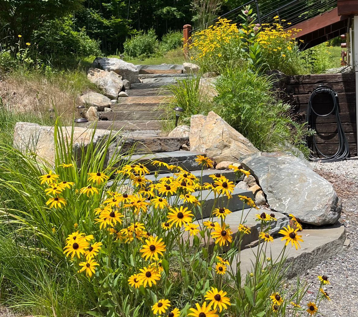 A stone stairway rises through a garden filled with bright yellow black-eyed Susans and scattered rocks on a sunny day.