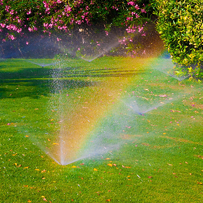 Backyard sprinkler