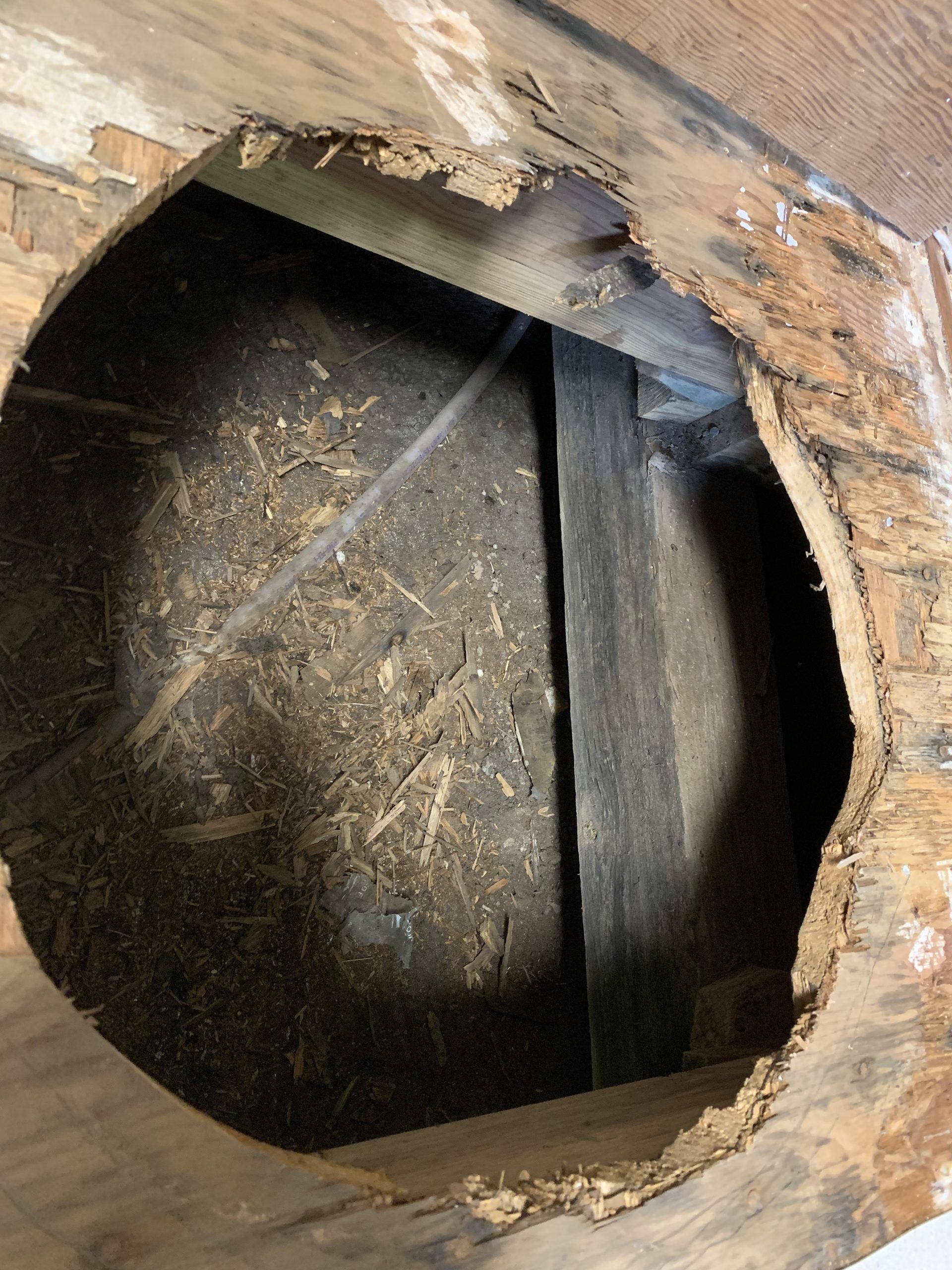 Hole cut in damaged wood revealing a dark interior, supported by a vertical wooden beam.