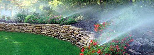 Sprinkler and irrigation system