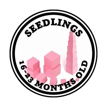 Seedlings program illustration