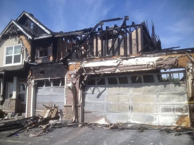 An aerial view of a dark blue river winding through a dense, lush green forest.