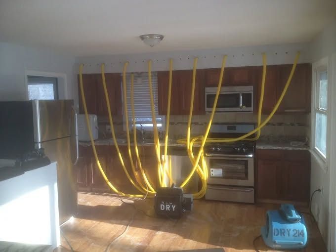 A winding, dark blue river flows through a dense, lush green forest seen from an aerial perspective.