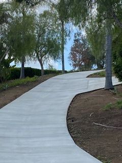 A concrete driveway going up a hill with trees on both sides.