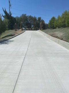 A concrete driveway with trees on both sides and a blue sky in the background.