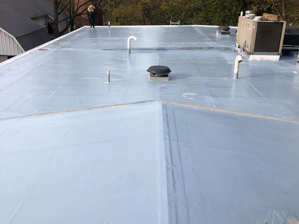 warren animal hospital