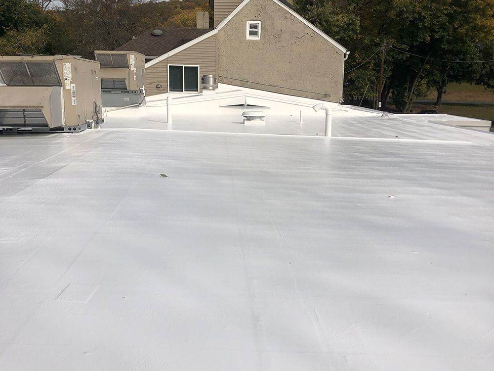 warren animal hospital