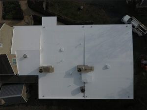 warren animal hospital