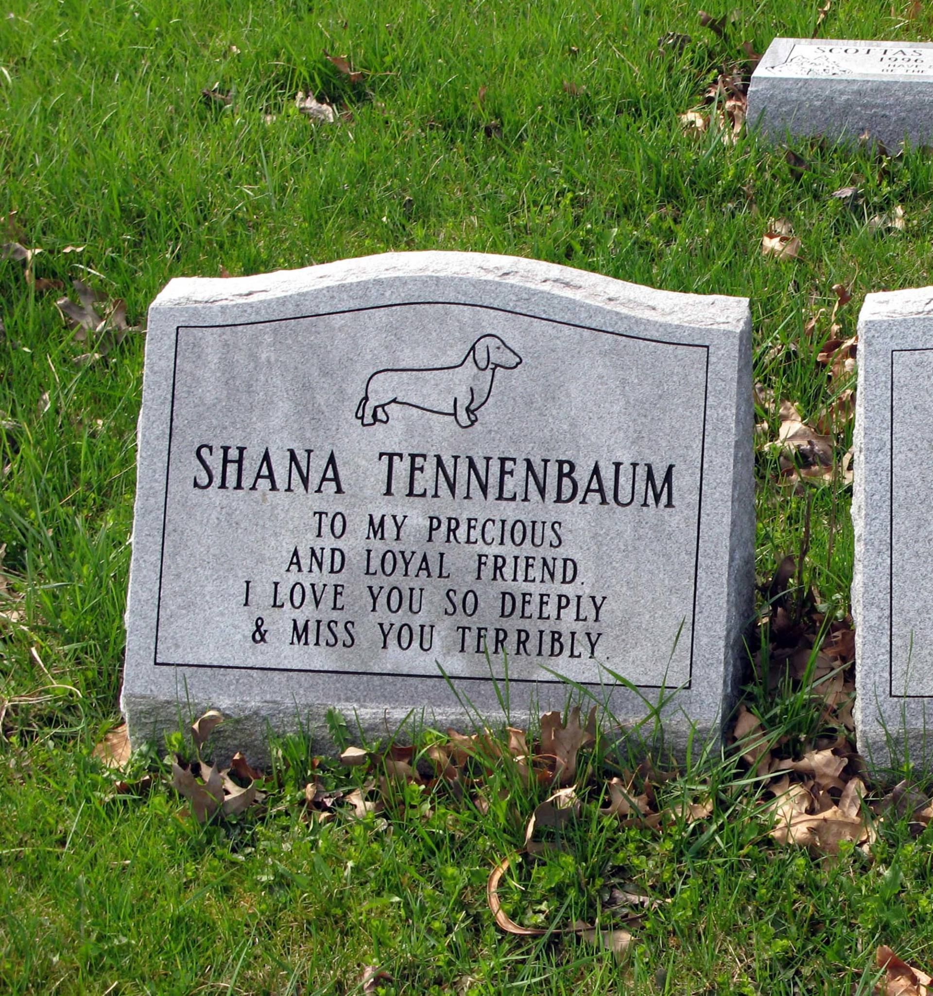 Gravestone in grass with inscription for Shana Tennenbaum and a small carved dog at the top