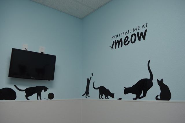 Angel's Pet Hospital